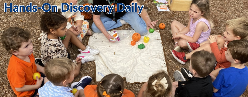 Knightly News Title card mar10-4 (1024 x 200 px) (3)